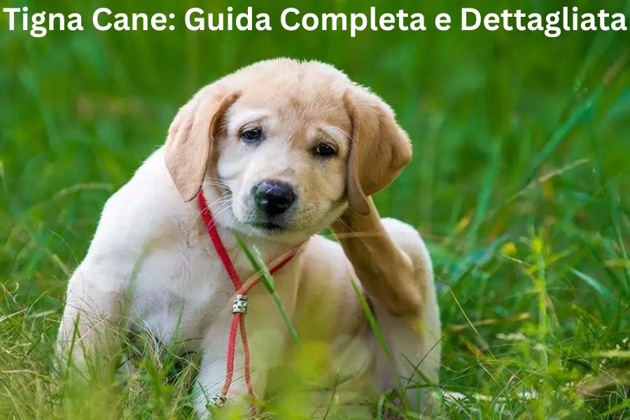 Tigna Cane