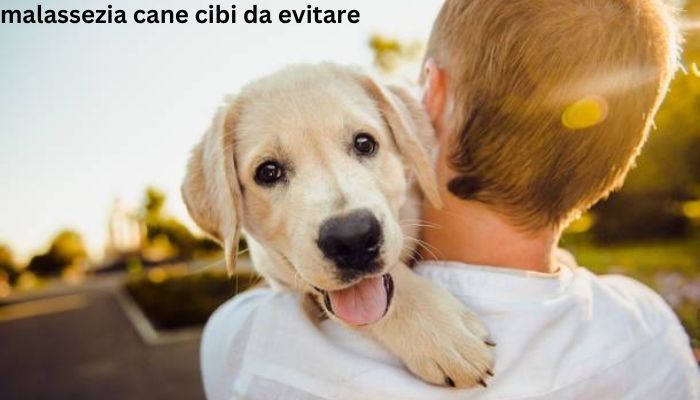 malassezia cane cibi da evitare