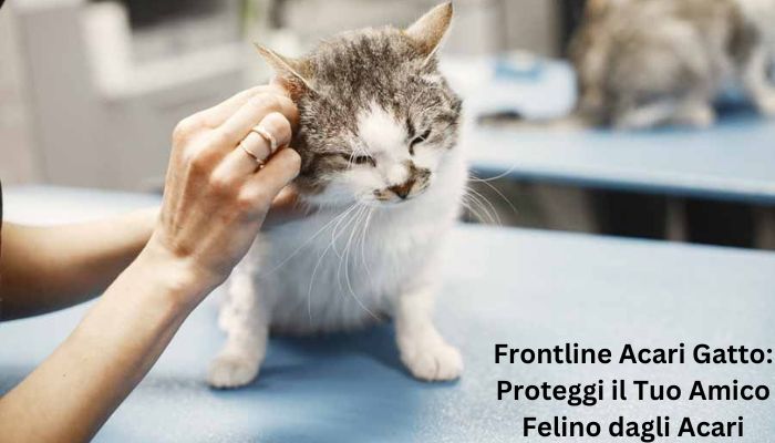 frontline acari gatto